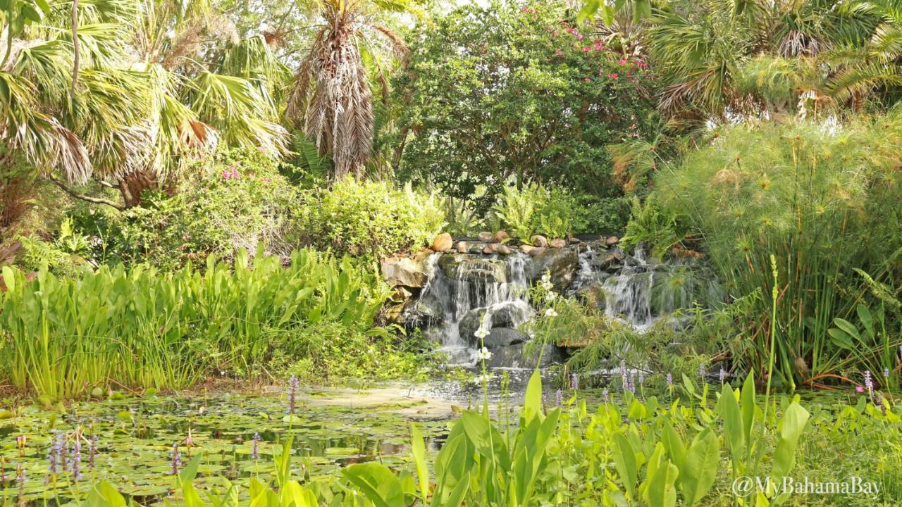 Citrus Ridge Bahama Bay Condo מראה חיצוני תמונה